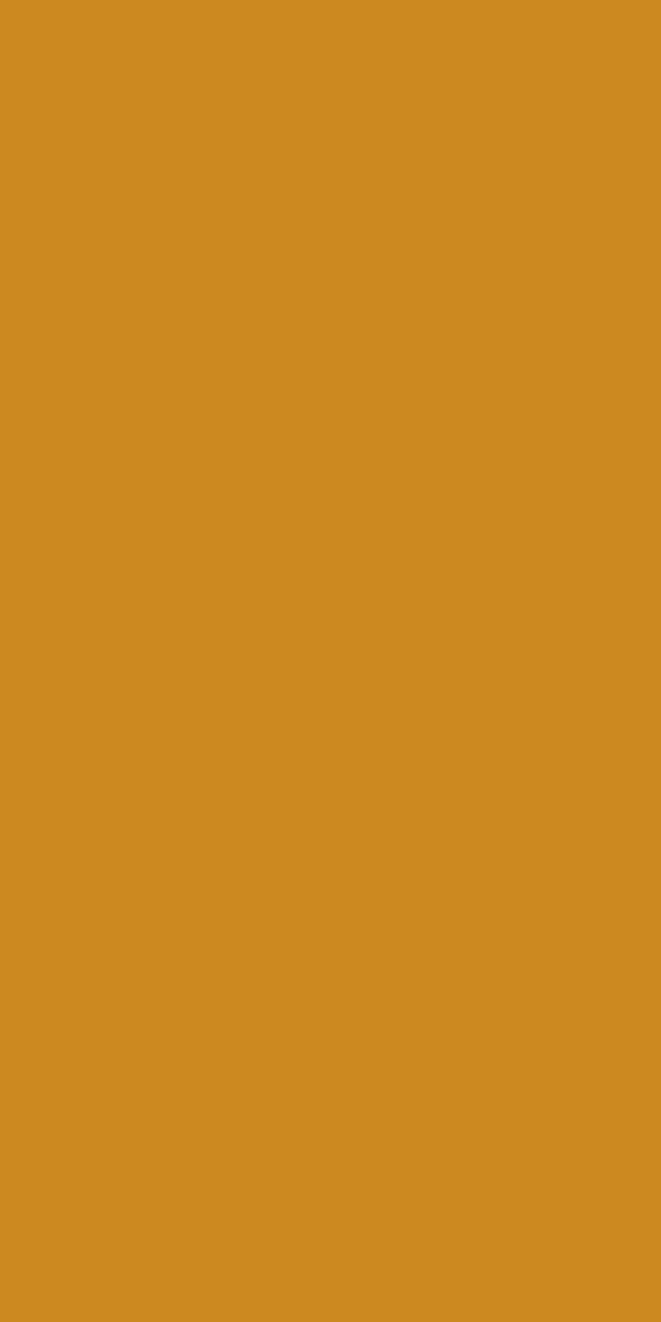 Neo Turmeric 21467 SGL | Merino Decorative Laminate