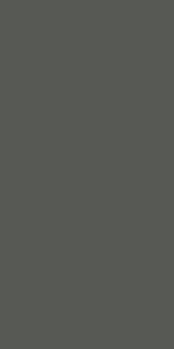 Graphite Grey 21419 SGL | Merino Decorative Laminate
