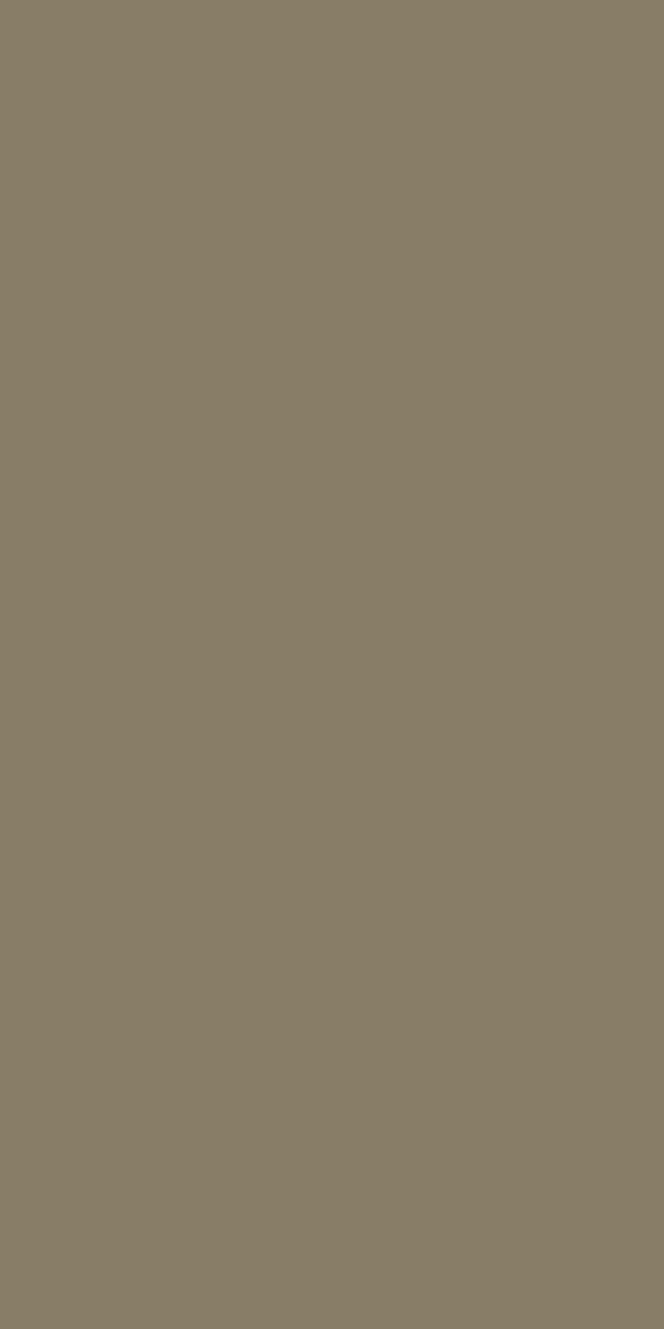 Silt Brown 21427 SGL | Merino Decorative Laminate